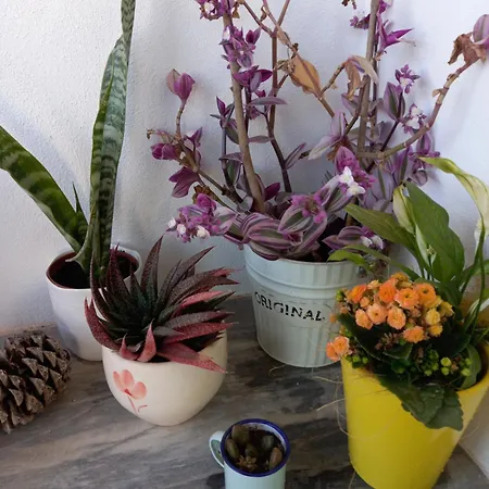 Dom wakacyjny Casa25 Alenquer