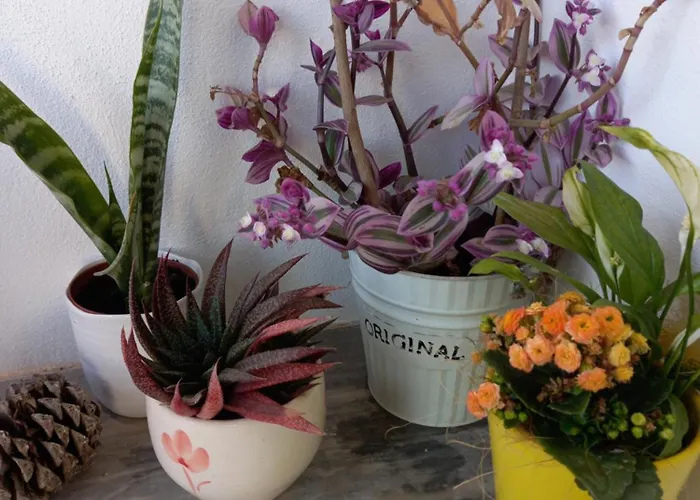 Semesterbostad Casa25 Alenquer